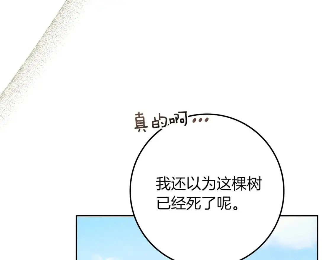 第78话 我要让你成为最尊贵的淑女86