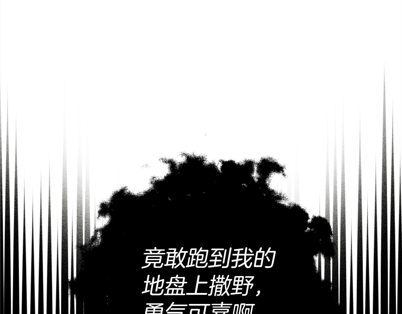 第25话 这是战争104