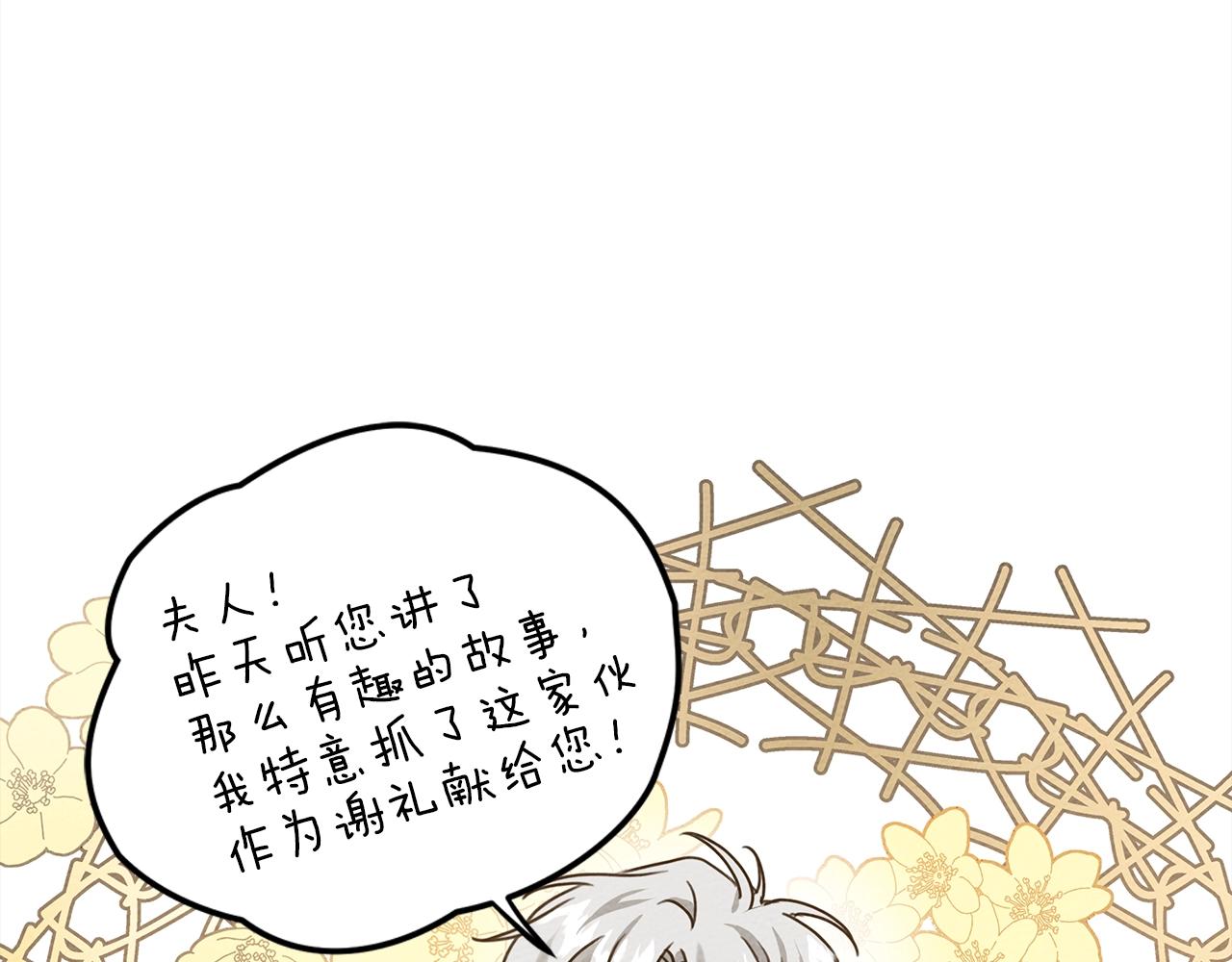 第22话 橡树之药56