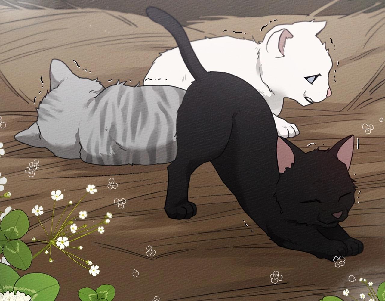 第46话 捡小猫猫63