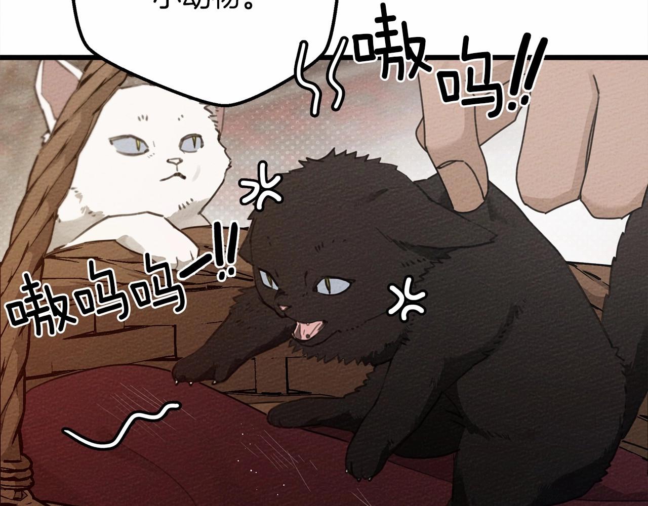 第46话 捡小猫猫165