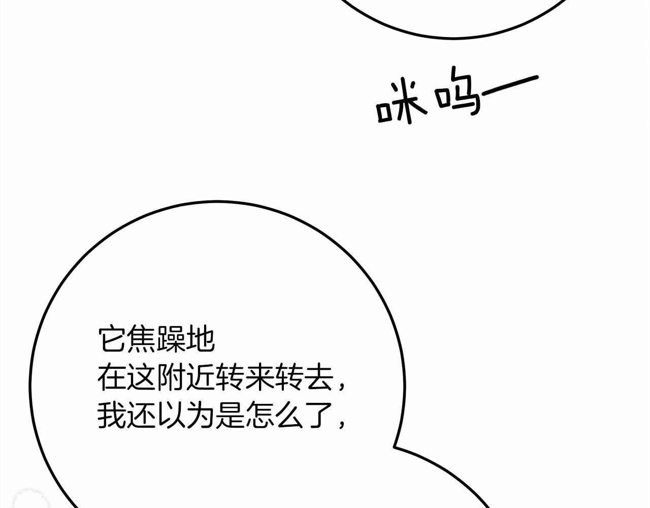 第46话 捡小猫猫68
