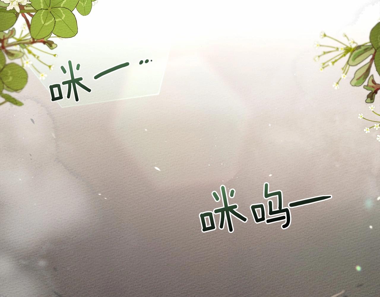第46话 捡小猫猫62