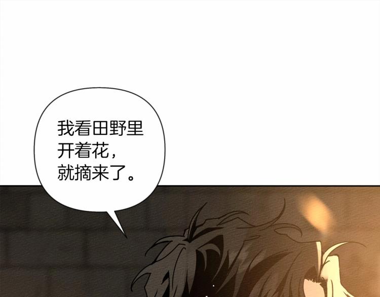 第13话 田野上的花161