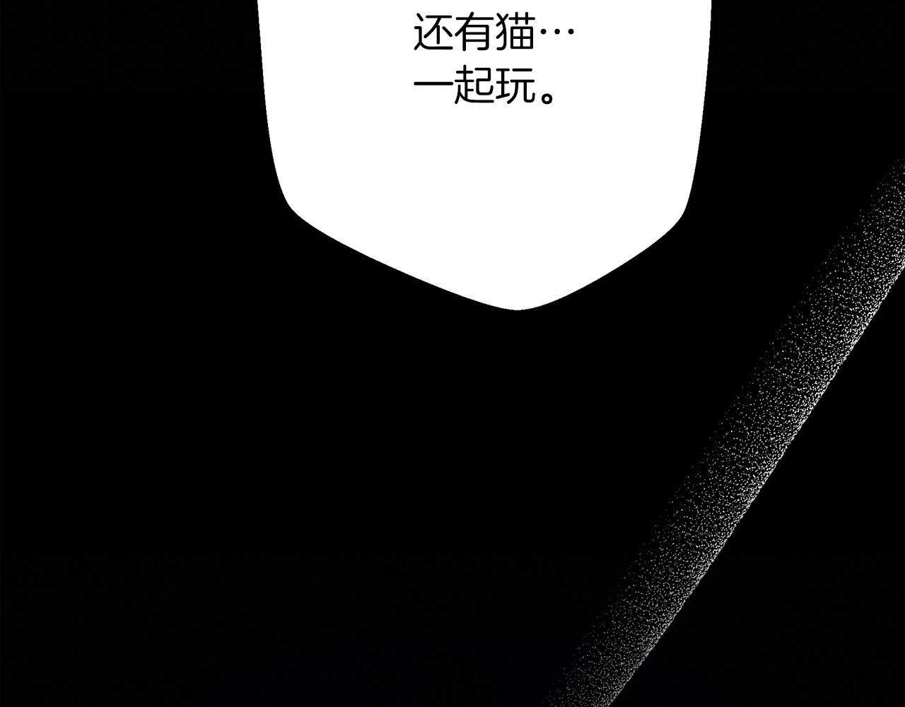第46话 捡小猫猫105