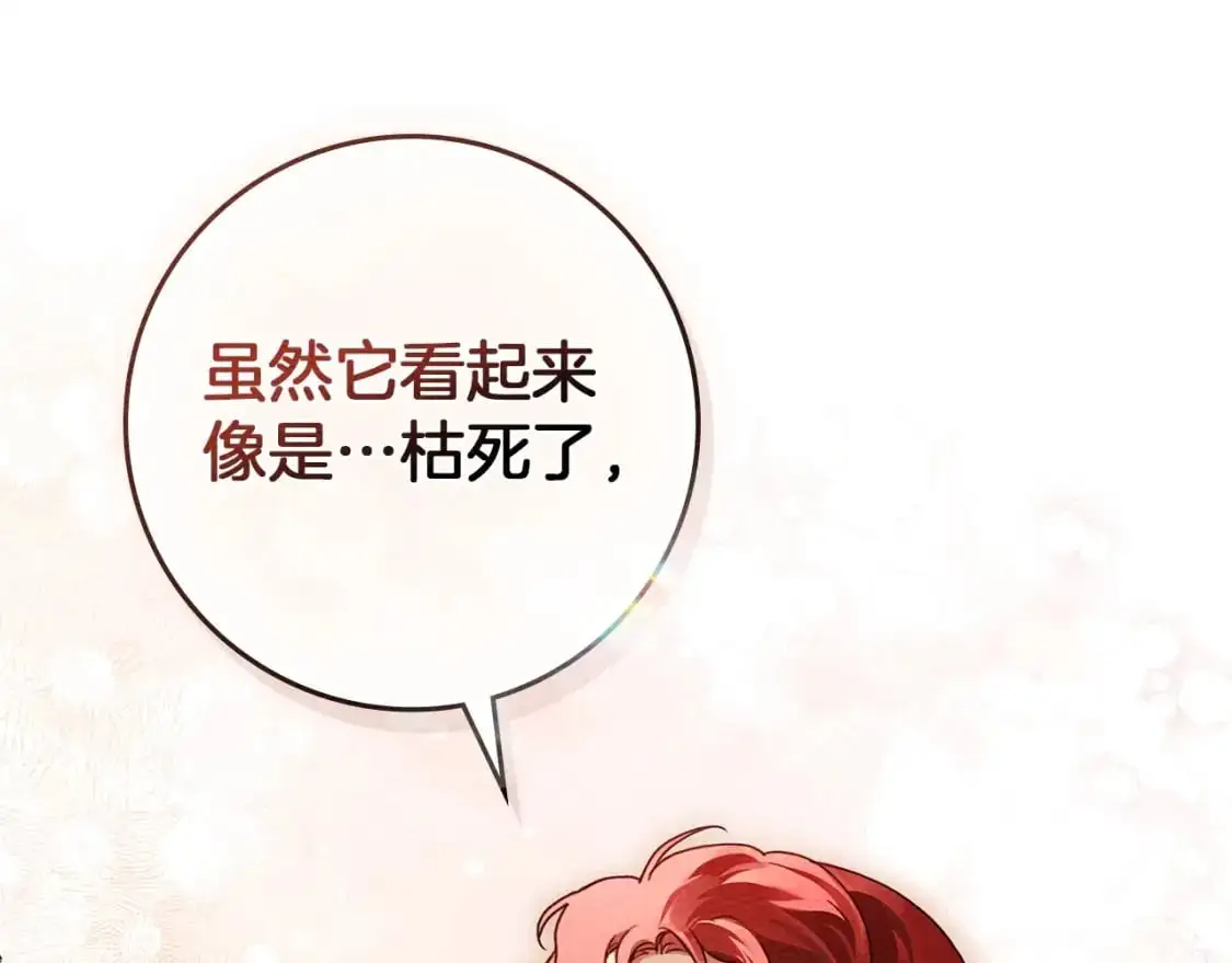 第78话 我要让你成为最尊贵的淑女90