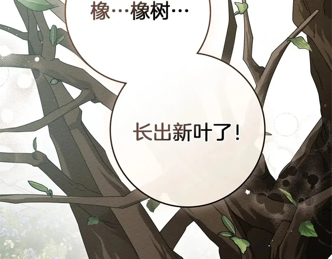 第78话 我要让你成为最尊贵的淑女82