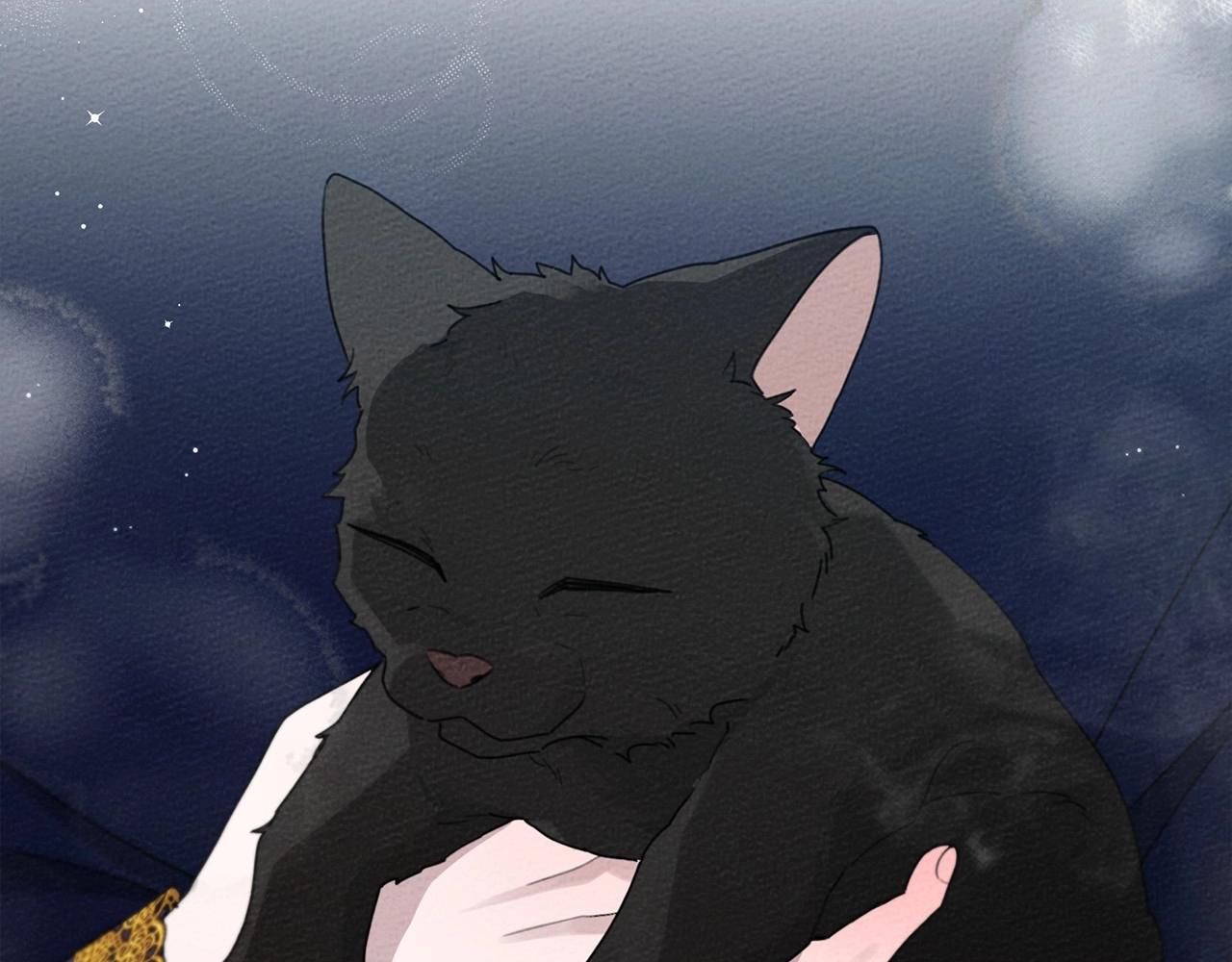 第46话 捡小猫猫91