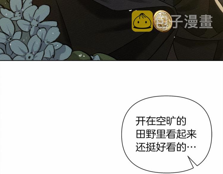 第13话 田野上的花163