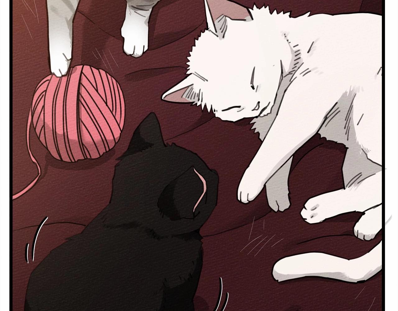 第46话 捡小猫猫172