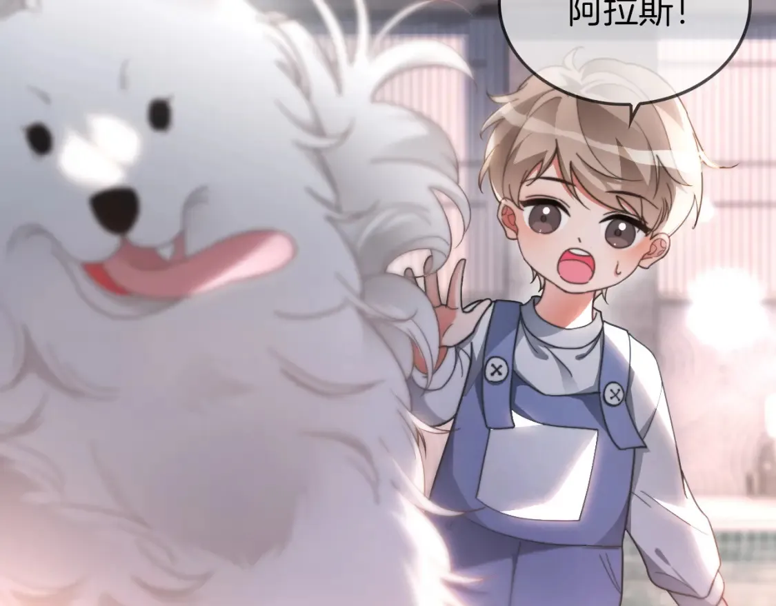 第251话（加更） 狗狗受伤10