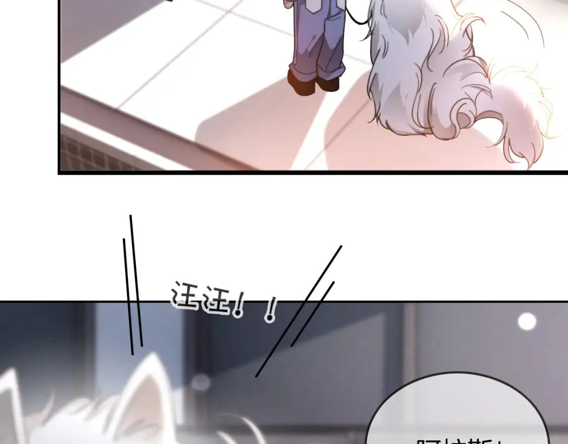 第251话（加更） 狗狗受伤9
