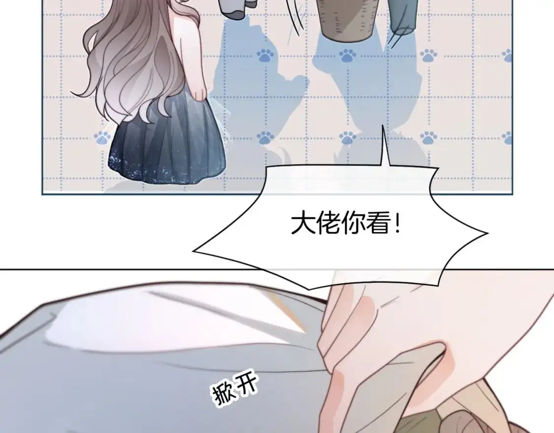 第208话 （加更）渡爷宠妻10
