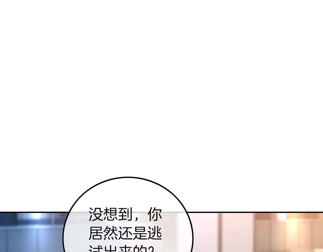 第264话 谈判73