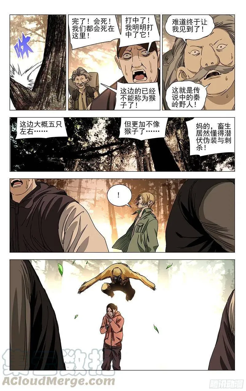 329 变异？的猴子12
