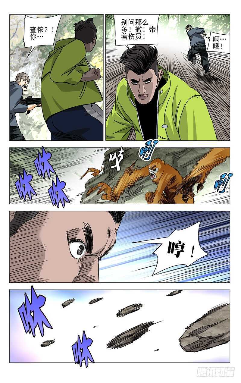 328.国家一级保护动物10