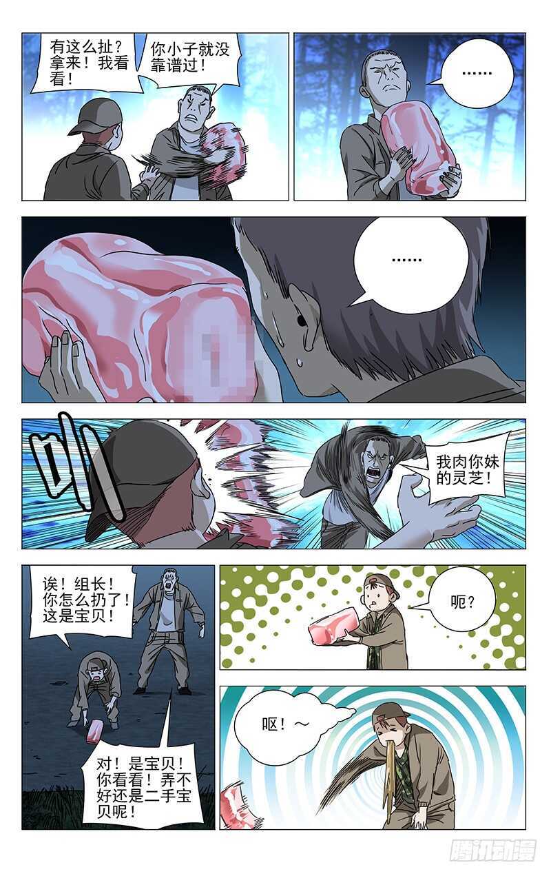 291 肉灵芝11