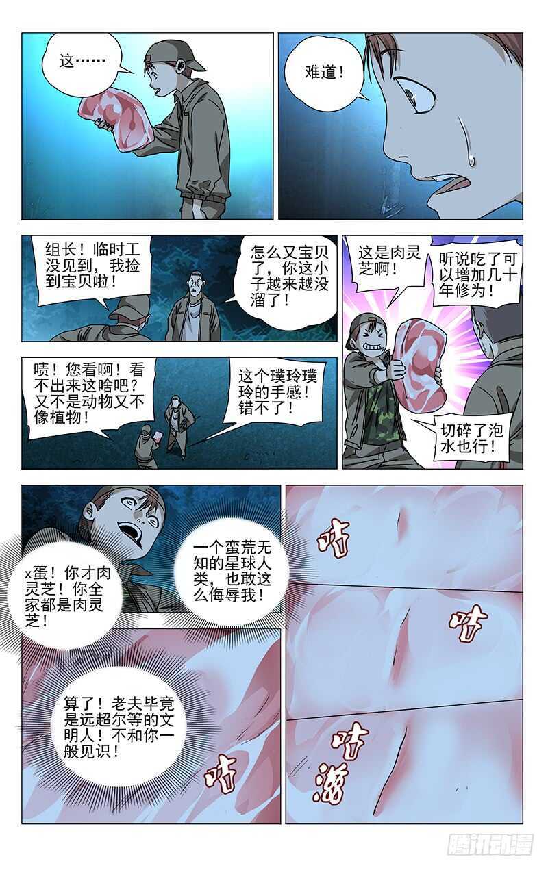 291 肉灵芝10