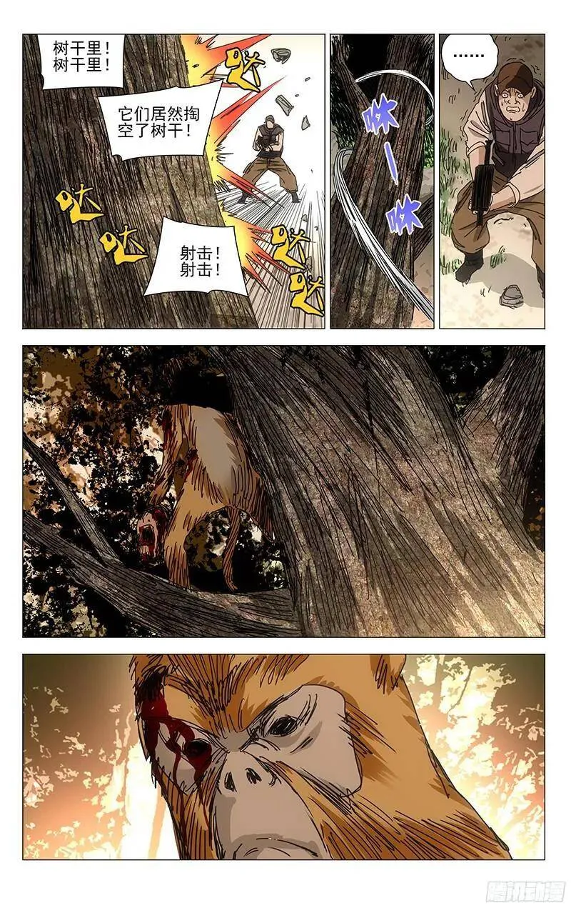 329 变异？的猴子11
