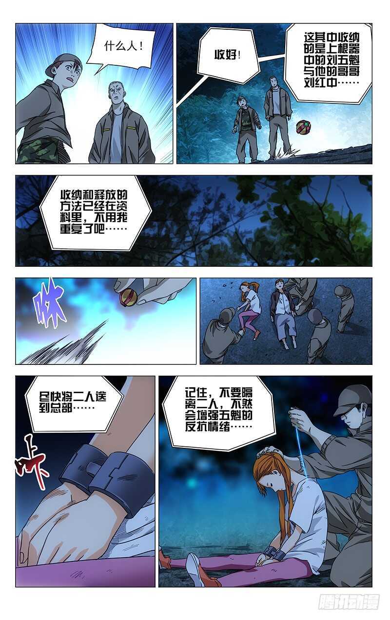 291 肉灵芝8