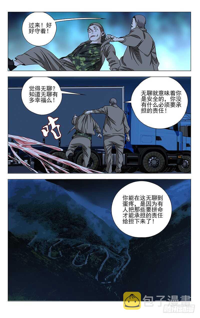 291 肉灵芝12