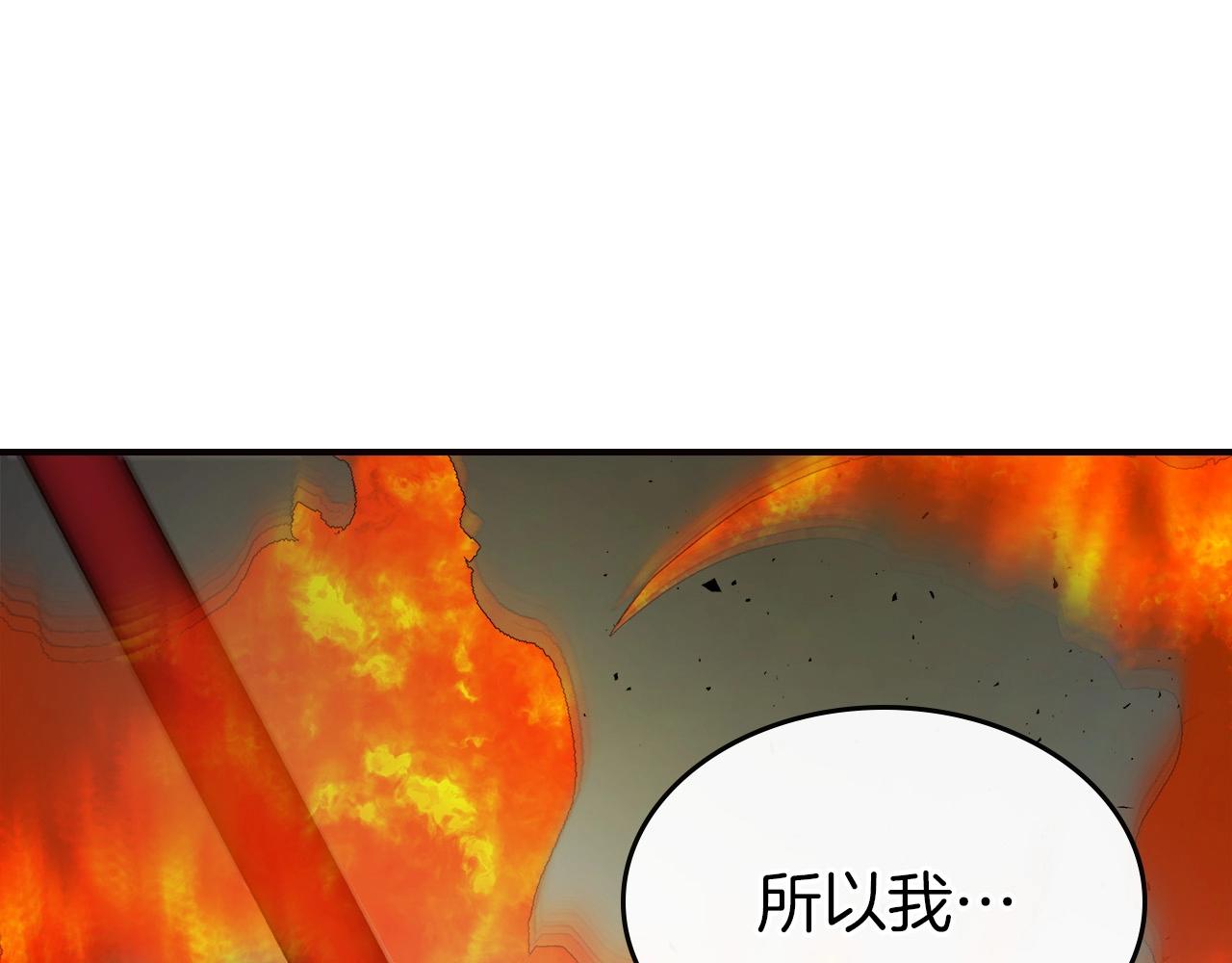 第28话 宙斯之盾177