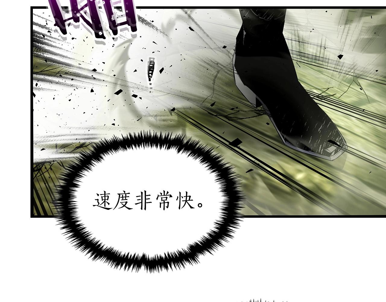 第60话 闪电战119