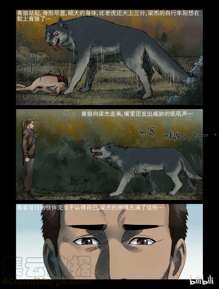 321 又见青狼-12