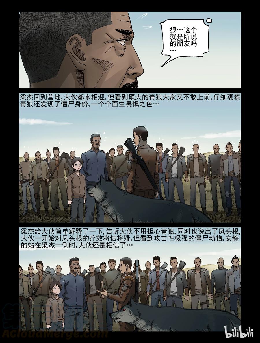 321 又见青狼-16