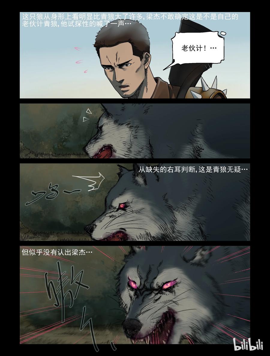 321 又见青狼-11