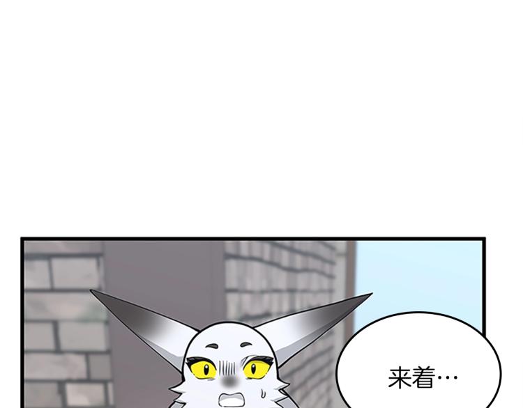 第121话 破旧商店236