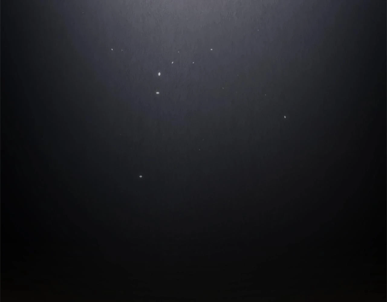 第5季174话 短暂的团聚117
