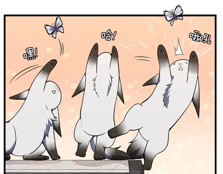 第104话 课后话题164