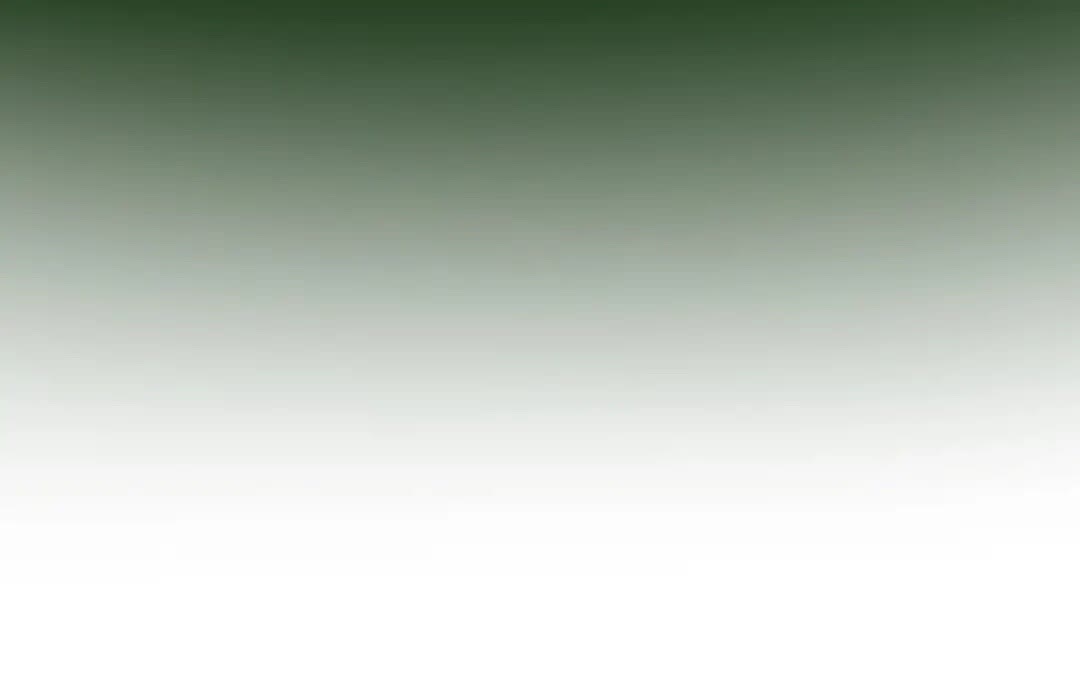 第56话 两年之约95