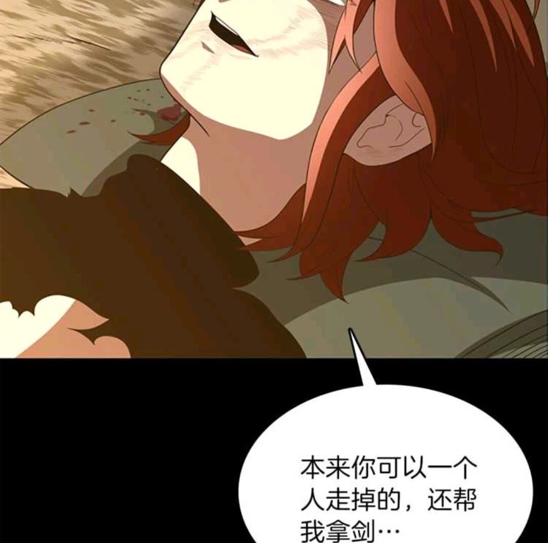 第68话 伙伴65