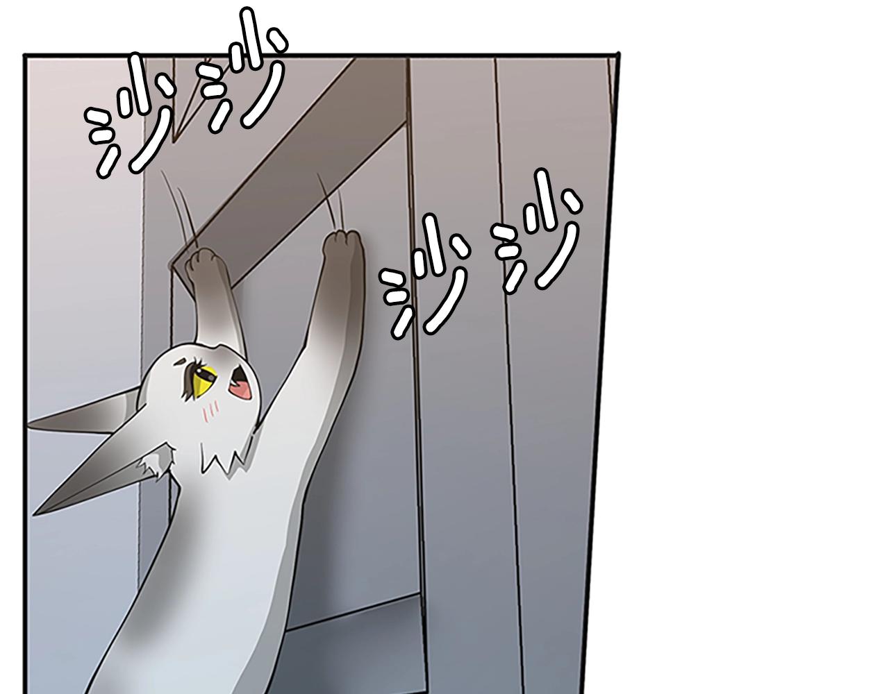 第133话 大战在即109