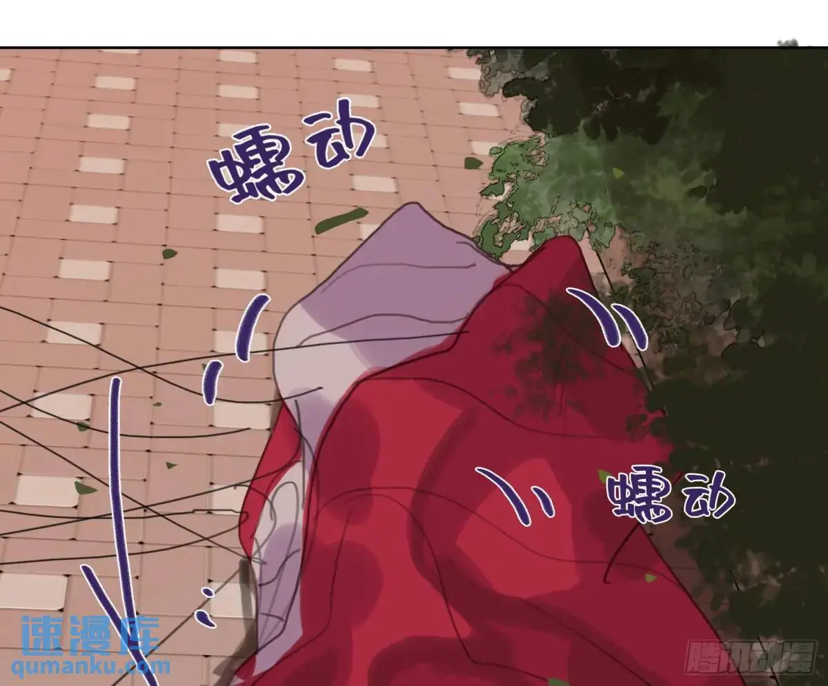 侦探卷积·2431