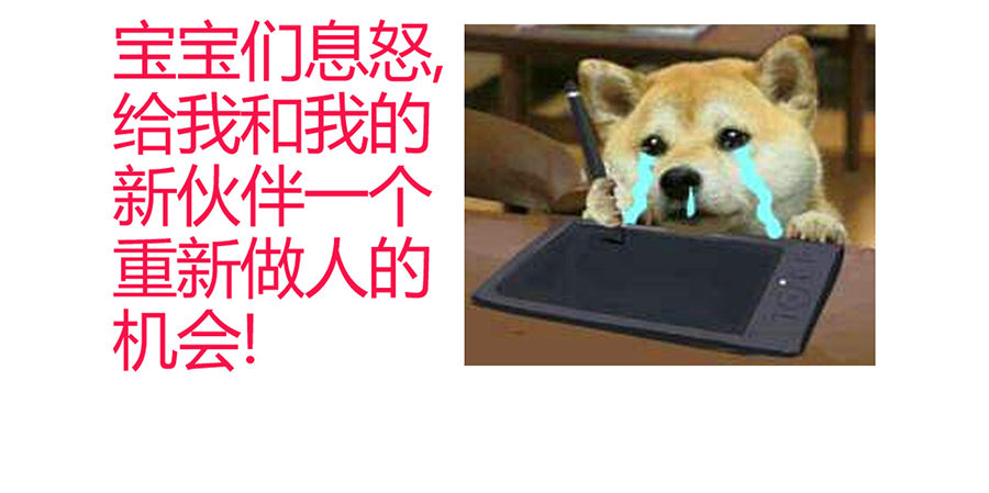 公告及情报4