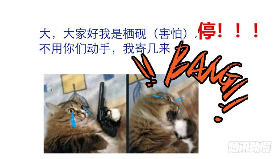 公告及情报0
