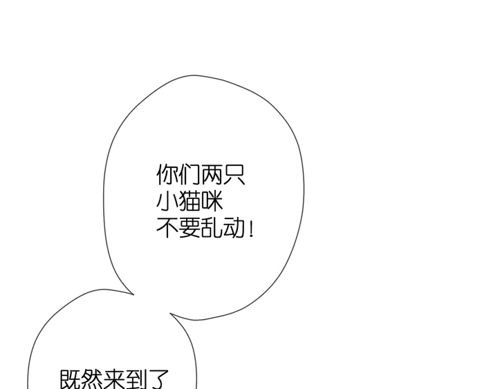 番外 西安行0