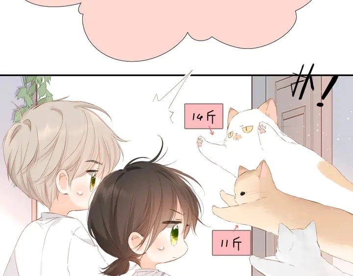 端午小番外12