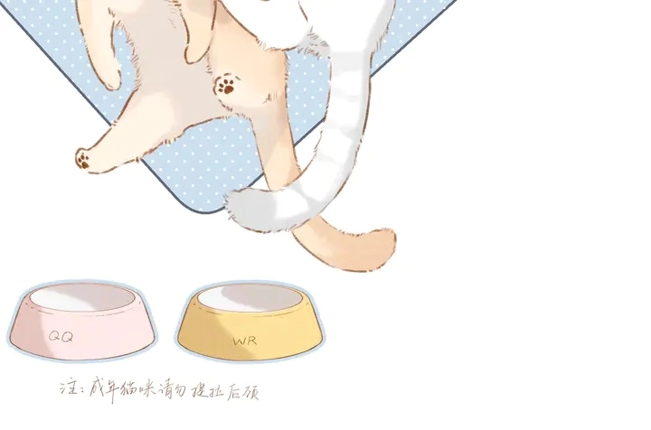 端午小番外9