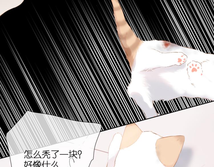 第87话 注视着15