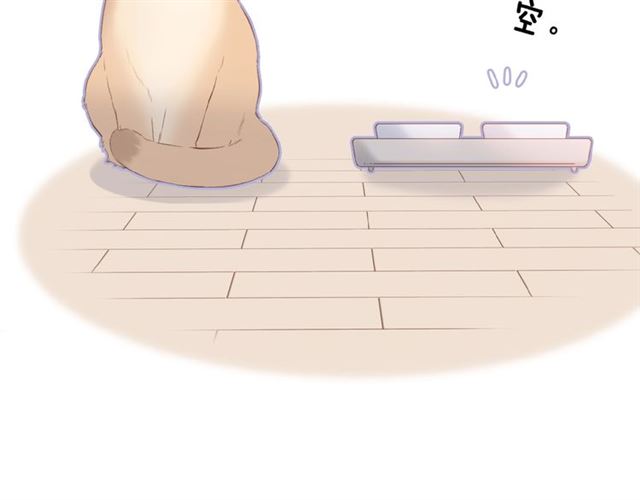 第16话 偶遇100