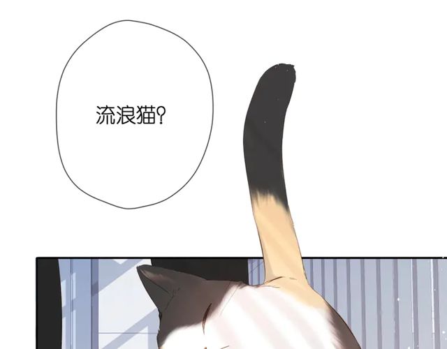 第35话 偷袭6