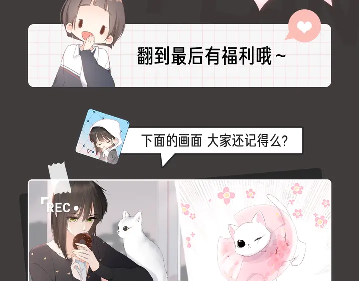 同款猫咪盲盒众筹开启！！！2