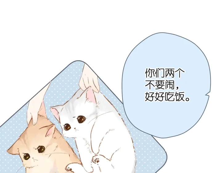 端午小番外8