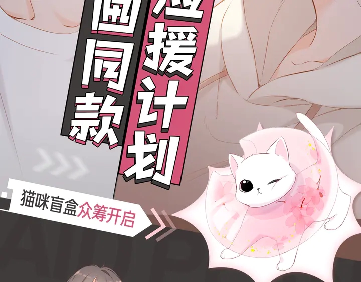 同款猫咪盲盒众筹开启！！！1