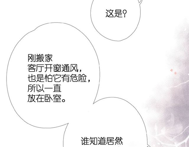 番外 壶壶25
