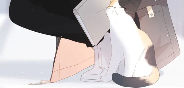 第35话 偷袭10
